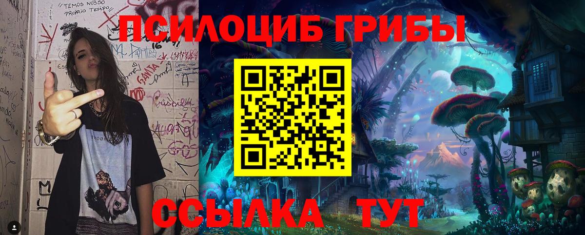 Галлюциногенные грибы MAGIC MUSHROOMS  где продают   Псилоцибиновые грибы мицелий  Тында  Вход с VPN 