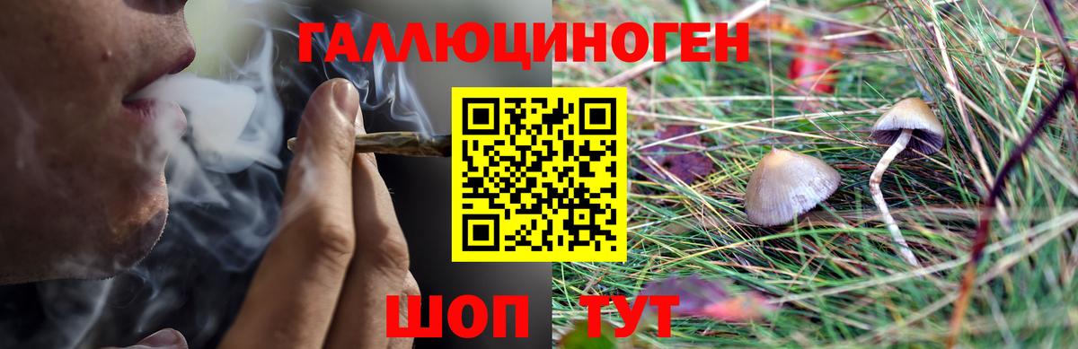 Псилоцибиновые грибы мухоморы Тында